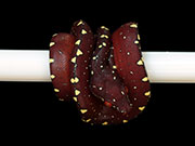 VR-15-16 Green Tree Python Neonate