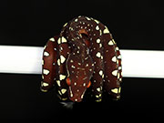 VR-17-14 Green Tree Python Neonate