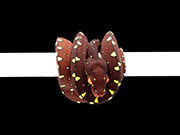 VR-22-02 Green Tree Python Neonate