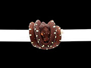 VR-22-04 Green Tree Python Neonate