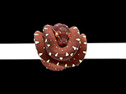 VR-22-05 Green Tree Python Neonate