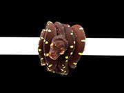 VR-22-07 Green Tree Python Neonate