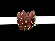 VR-22-11 Green Tree Python Neonate