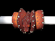 VR-22-21 Green Tree Python Neonate