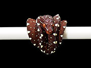 VR-25-11 Green Tree Python Neonate