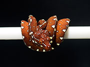 VR-25-15 Green Tree Python Neonate