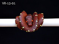 VR-13-01 Green Tree Python Neonate