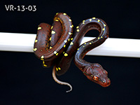 VR-13-03 Green Tree Python Neonate