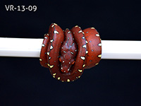 VR-13-09 Green Tree Python Neonate