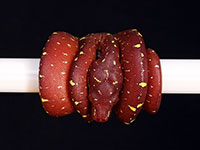 VR-14-08 Green Tree Python Neonate