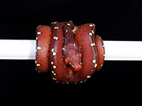 VR-14-17 Green Tree Python Neonate