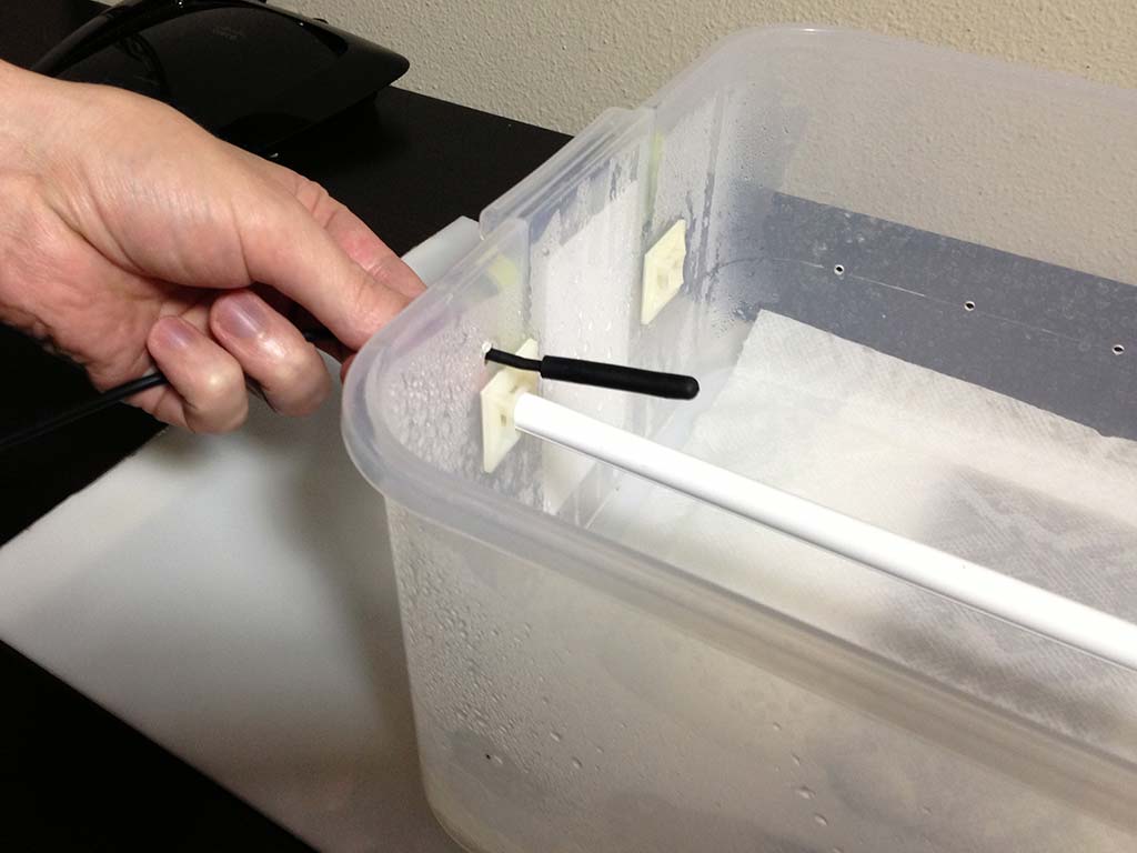 How to set up a green tree python neonate tub | ViridisPython