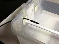 How to set up a green tree python neonate tub | ViridisPython