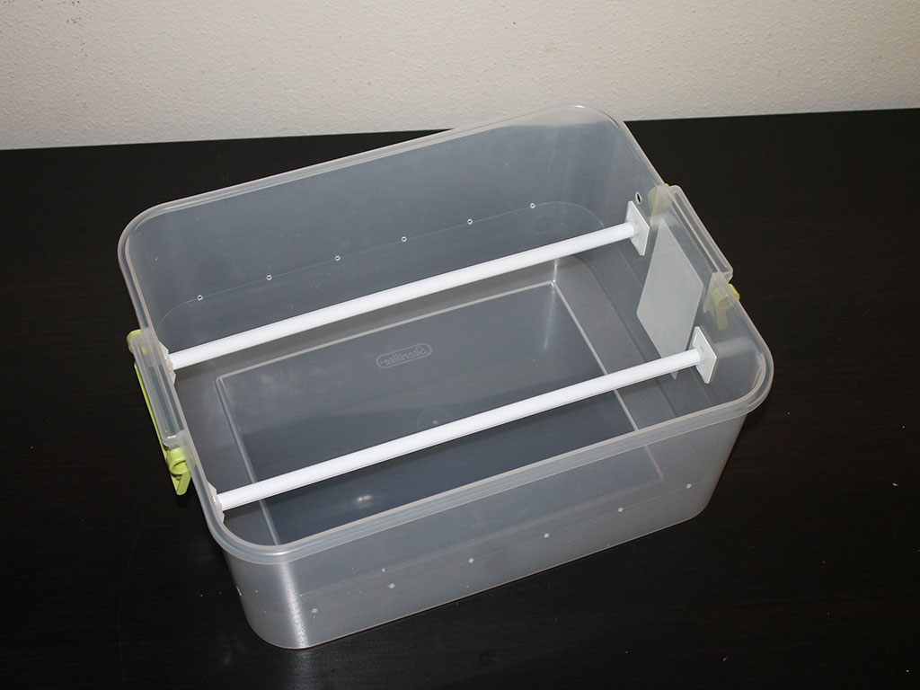 How to set up a green tree python neonate tub | ViridisPython