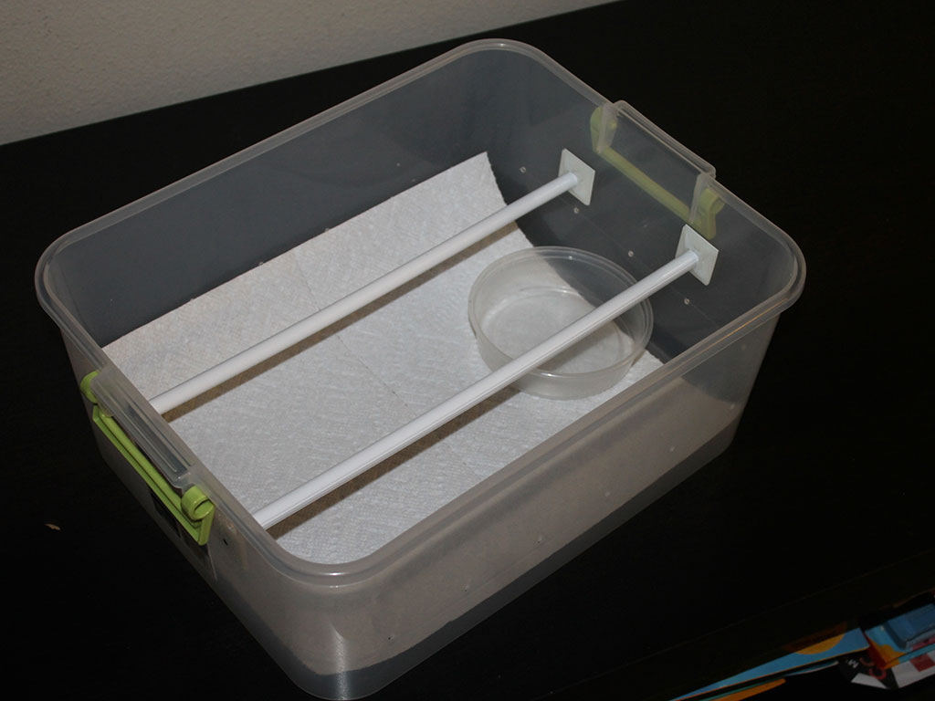 How to set up a green tree python neonate tub | ViridisPython