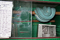 Arfak Green Tree Python Female