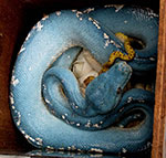 Aru Green Tree Python Female with Babies
